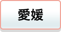 愛媛