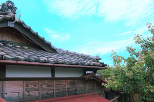 タイトルが入ります。