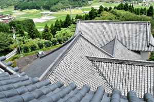 タイトルが入ります。